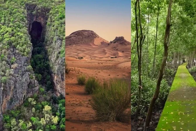 Unesco elege 26 novos ‘Patrimônio da Humanidade’ e Brasil está na lista; veja!
