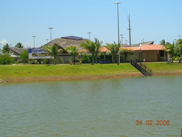 Tubarão Mega-boca encalha em Sergipe - Reprodução UFAL