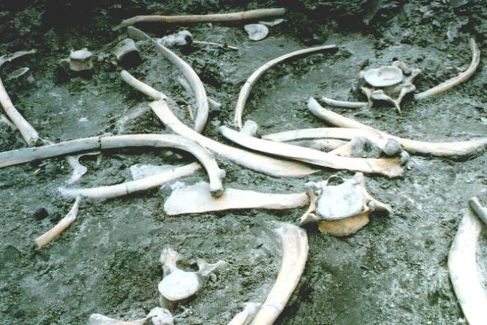 sítio arqueológico de Neumark-Nord, Alemanha