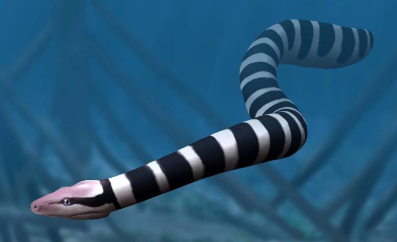 Palaeophis colossaeus – Wikimedia Commons/© N. Tamura