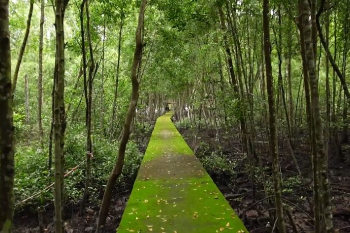 Parque Florestal de Selangor, Malásia