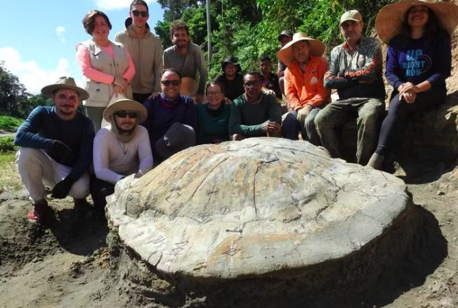 Fóssil de tartaruga gigante que viveu há 13 milhões de anos é encontrado no Acre