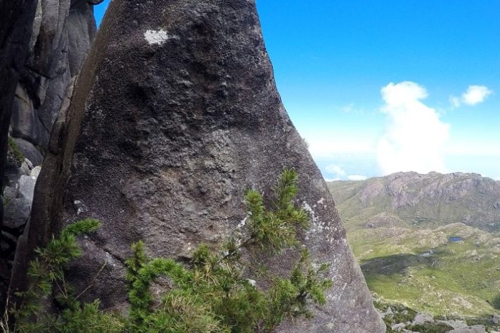 Pico das Agulhas Negras - Parque Nacional do Itatiaia