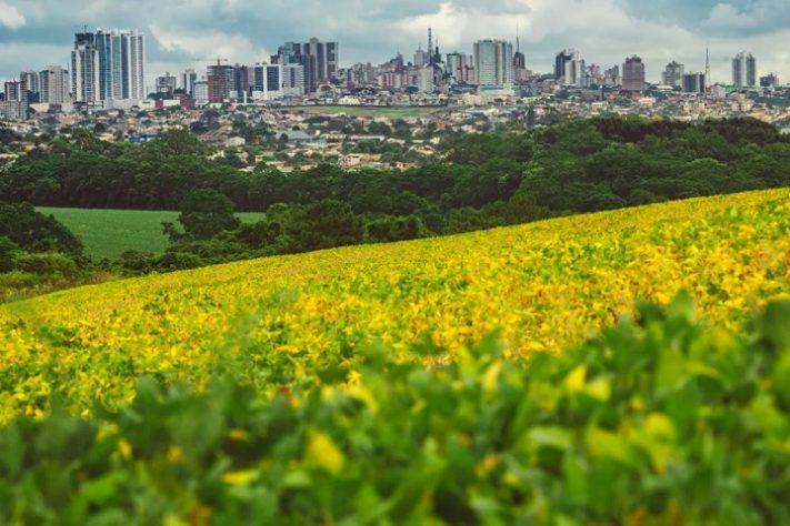 Ponta Grossa, Paraná