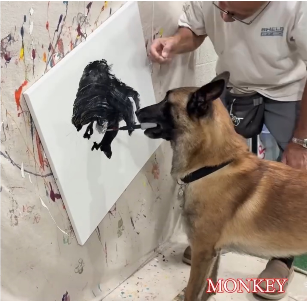 Cada obra leva cerca de uma hora e meia para ser feita.  Os quadros de Monkey sao vendidos entre US$ 1.500 e US$ 2.000 (entre R$ 8 mil e R$ 10,6 mil). O cão assina botando a pata no canto da tela.