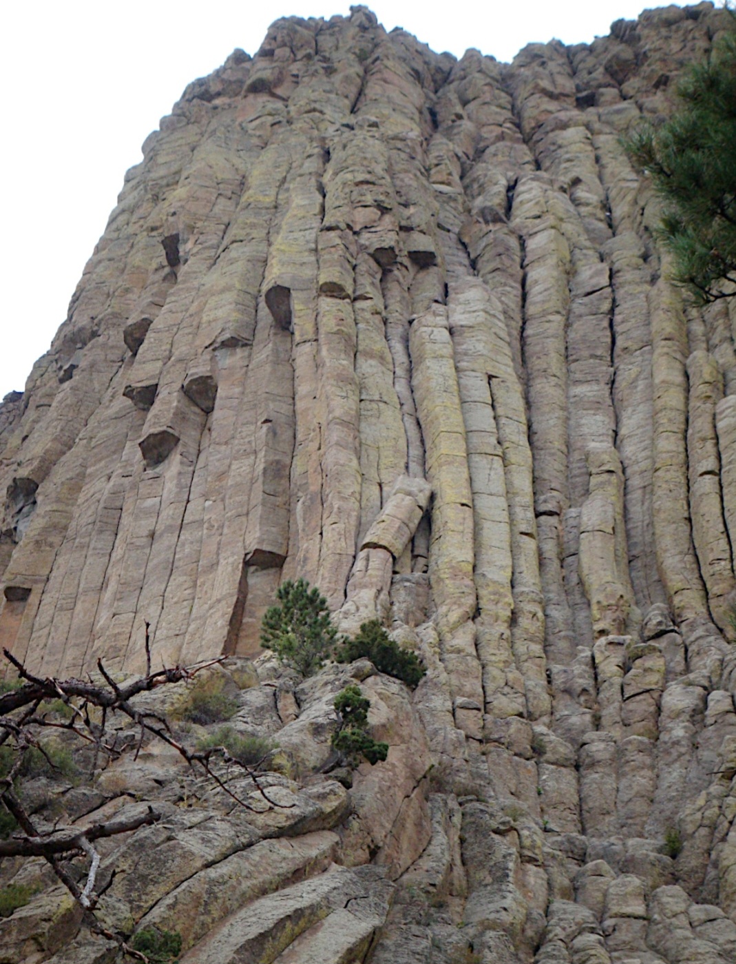 As rochas compridas da Torre do Diabo são colunas de basalto formadas por resfriamento lento de lava, que criou prismas hexagonais verticais. Esse processo geológico raro ocorreu há cerca de 50 milhões de anos.
