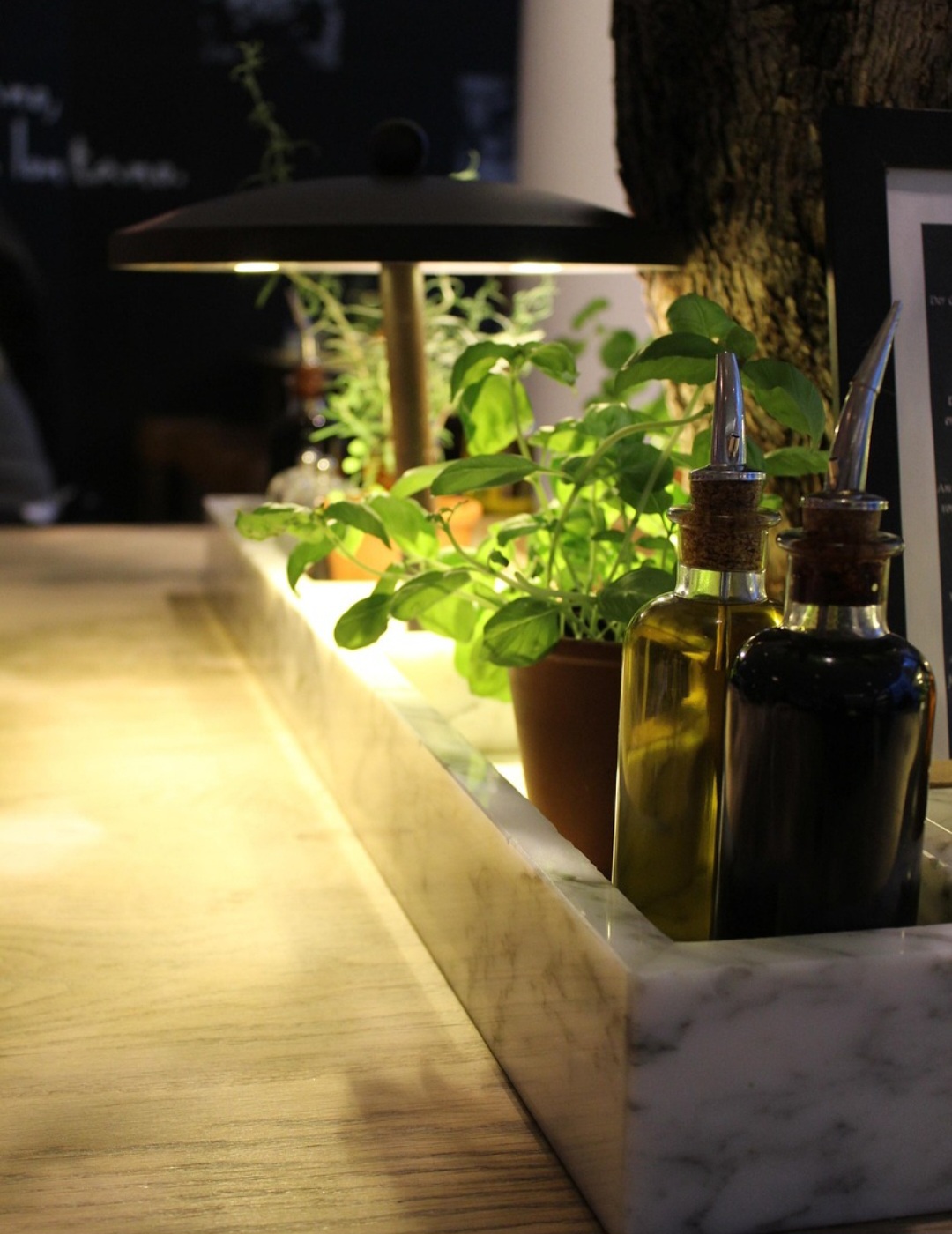 Na jardinagem, o vinagre combate fungos em plantas e afasta insetos indesejados. Também pode ser usado para desentupir ralos e neutralizar odores fortes.