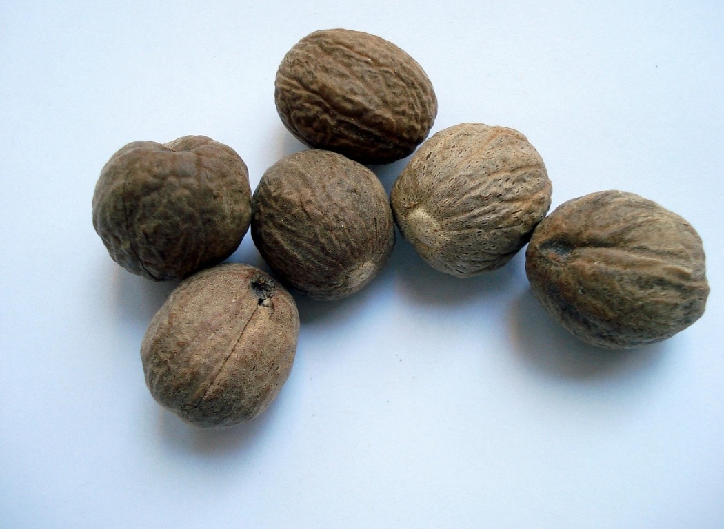 Mais tarde, os britânicos levaram mudas para outras partes do mundo, como Índia, Sri Lanka e Caribe, quebrando o monopólio do Sudeste Asiático. Isso permitiu a expansão global da produção.
