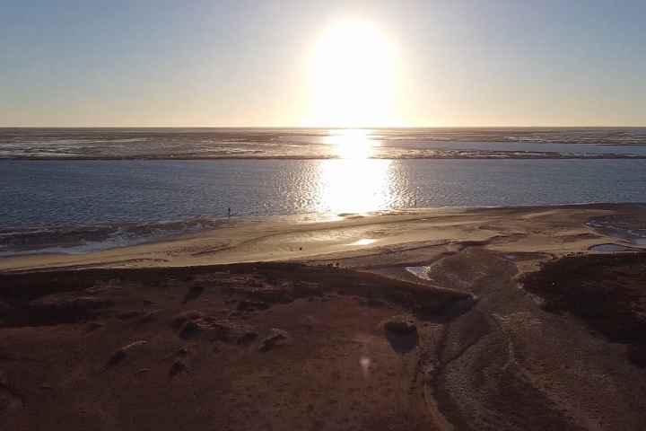 Banco de Arguim, MauritÃ¢nia: Parte do Parque Nacional Banco de Arguim, este banco de areia Ã© um PatrimÃŽnio Mundial da UNESCO desde 1989.