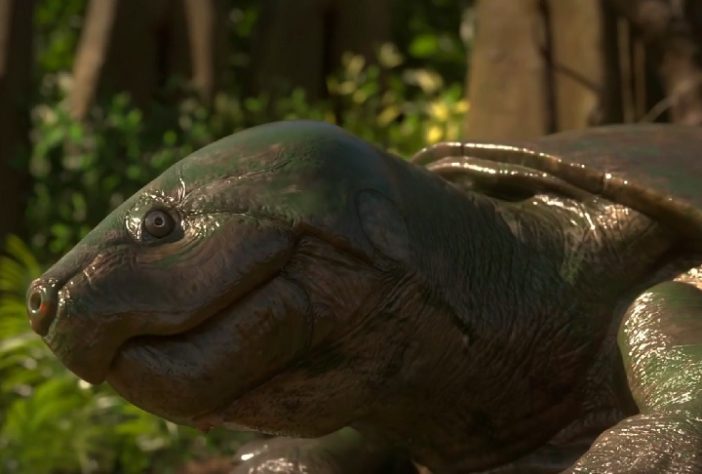 Tartaruga Stupendemys geographicus