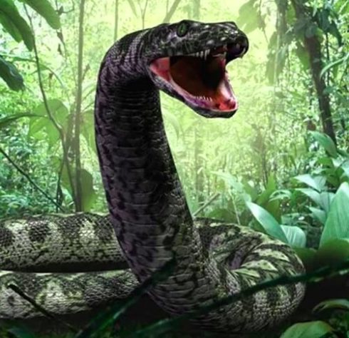 Titanoboa foi a maior cobra que já existiu na Terra - Reprodução/Smithsonian/Natural History Museum