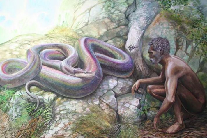 Wonambi naracoortensis - Reprodução/Peter Schouten