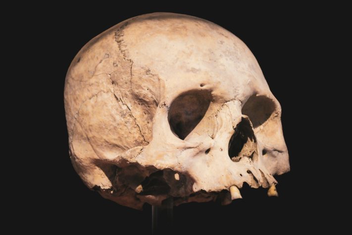 Crânio de neandertal