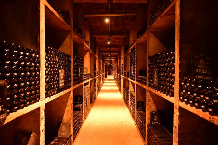 Colecionadores costumam organizar os vinhos por tipo, origem, safra ou produtor, facilitando o acesso e a curadoria de seus rótulos.