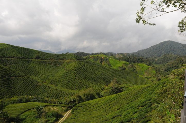 Conhecida por seu cenário tranquilo e natureza exuberante, a região é cercada por florestas e colinas, atraindo visitantes em busca de ecoturismo.-Erum Durrani/Pixabay