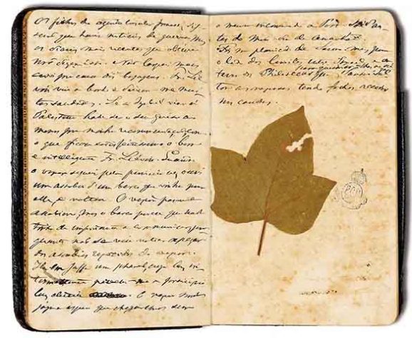 Cadernetas restauradas de Dom Pedro II - Imagem Acervo do Museu Imperial
