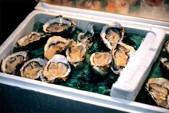 Ostras moluscos de águas marinhas ou salobras - Imagem Freepik