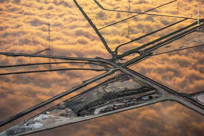 Fotos finalistas do 'Wildlife Photographer of the Year'