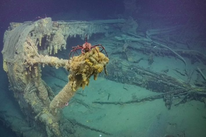 Contra-torpedeiro japonês Teruziki tinha 134 metros de comprimento - Divulgação/Ocean Exploration Trust