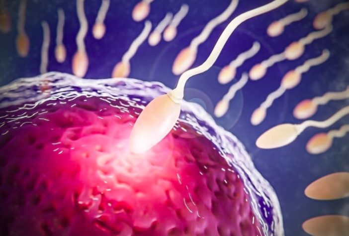 Óvulo - fertilização in vitro - Freepik