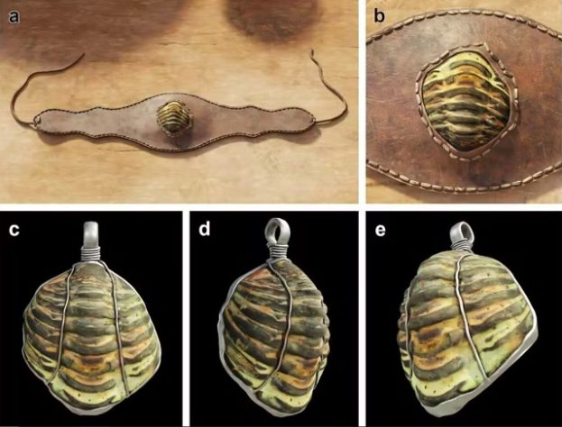 Pesquisadores descobrem que fóssil de animal que viveu há 500 milhões de anos era usado como bjuteria por romanos - Divulgação/Fernández et al.