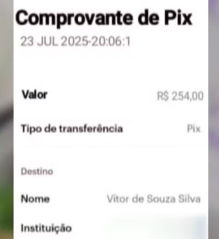 Dono de lanchonete manda 'lanche fake' para golpista e viraliza na web - Reprodução/TV Anhanguera