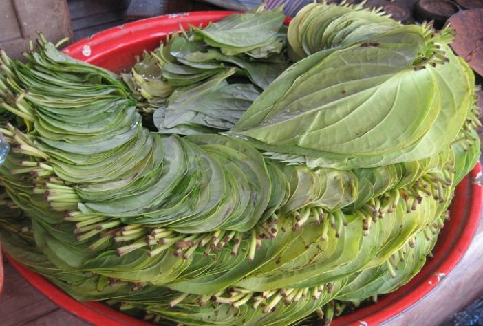 Noz de bétele - Wikimedia Commons/Wagaung