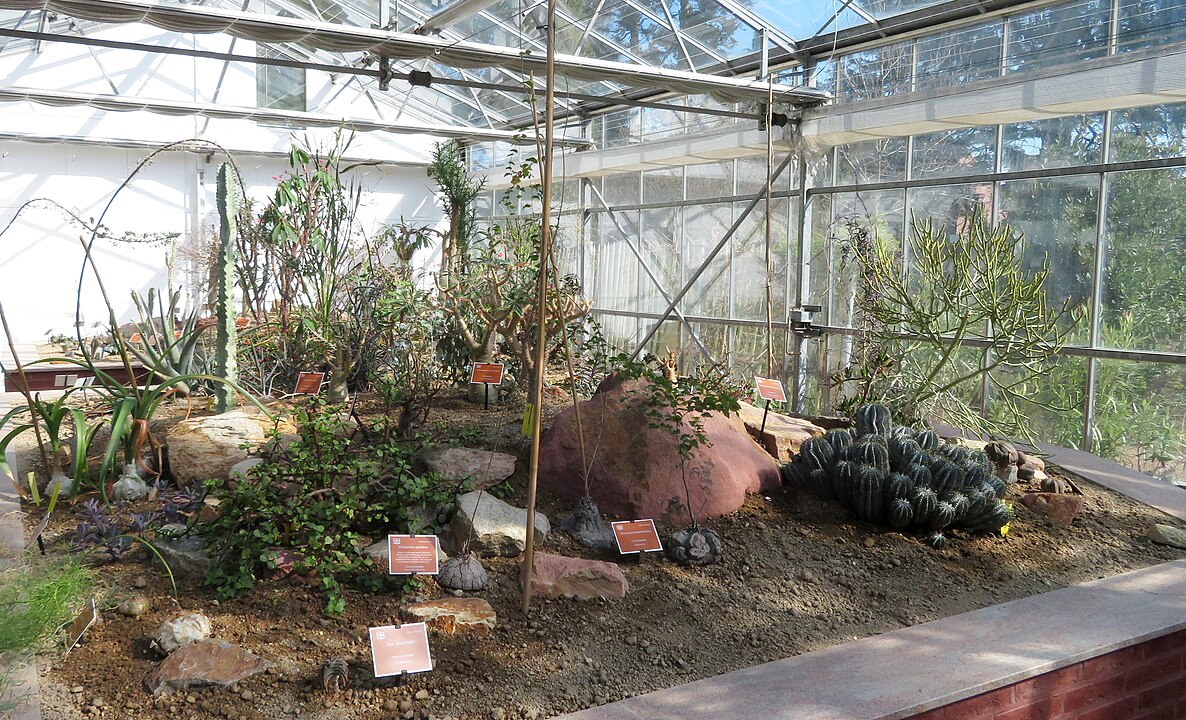 Esse tipo de jardinagem é ideal para pessoas com rotina agitada, que desejam beleza e praticidade sem comprometer a estética.