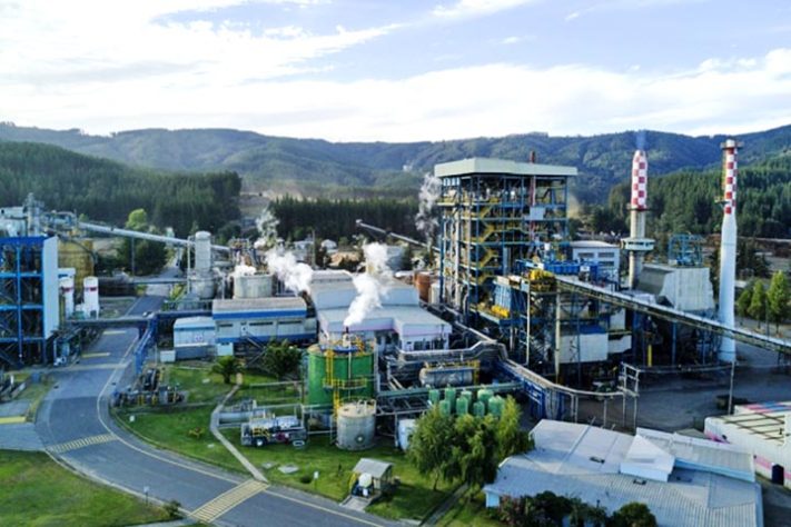 Maior fábrica de celulose do mundo