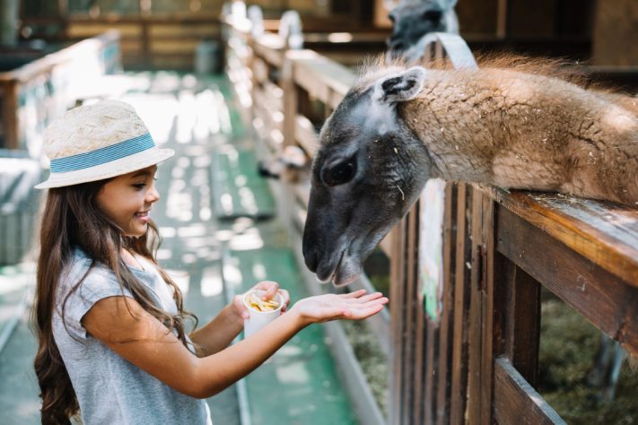 Zoológico - foto NEUTRA -- Freepik