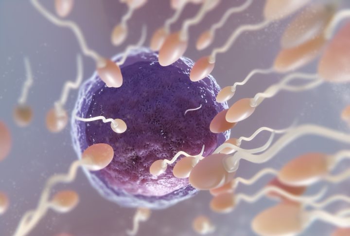 Após ter uma filha em 1994 com um dos embriões, Linda manteve os três restantes congelados por décadas, mesmo após seu divórcio.-Freepik