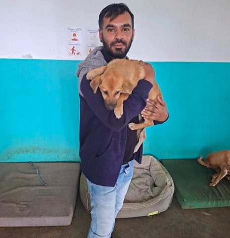 Funcionário de abrigo encontra animal abandonado e resgate emociona web - Reprodução/PAWS Mauritius