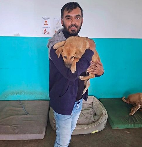 Após receber atendimento veterinário, alimentação e abrigo, Hope — como foi batizada — recuperou peso e energia.-Reprodução/PAWS Mauritius