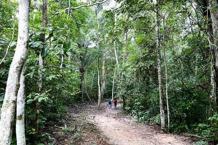 Criado em 1983, o Parque Zoobotânico da Universidade Federal do Acre (Ufac) reúne em uma área de 144 hectares com espécies animais e vegetais, constituindo a maior área verde dentro do perímetro urbano da capital.