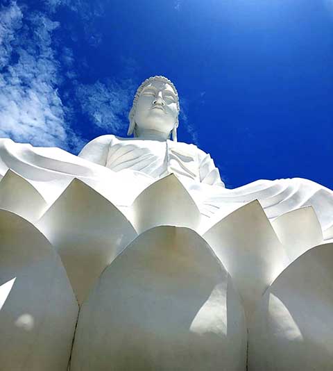 O povoamento deste local começou com a chegada de imigrantes italianos fugindo da crise socioeconômica no país europeu. Eles foram trazidos em navios que aportavam em Vitória e seguiam para o núcleo colonial na região. 
