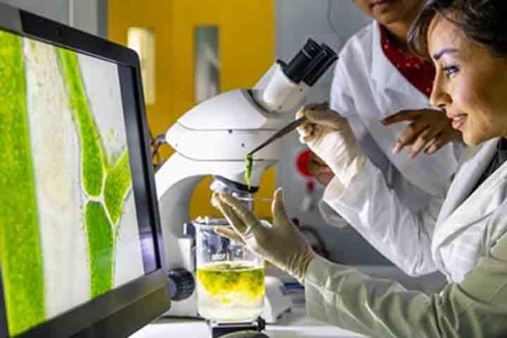 Maior fábrica de celulose do mundo