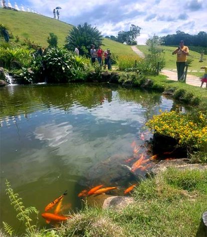 Ibiraçu