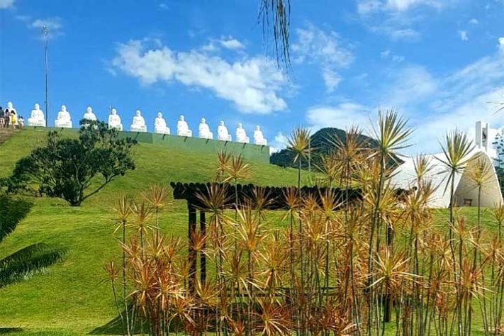 Ibiraçu