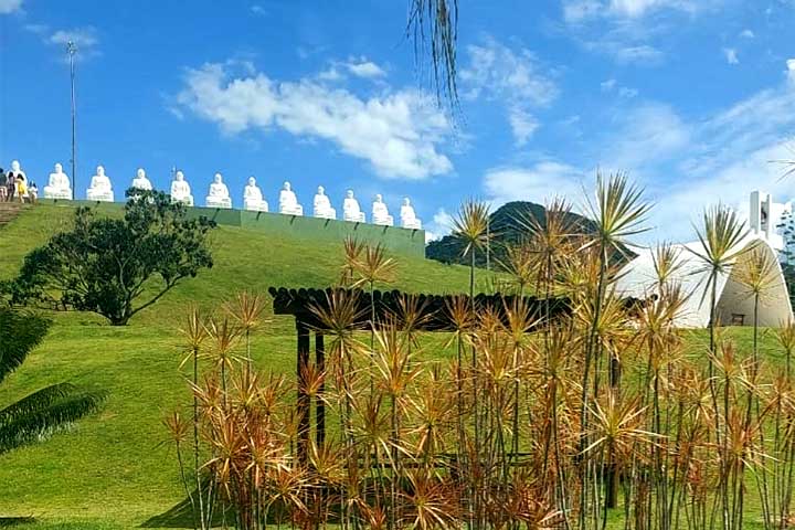 A partir da produção agrícola, surgiram os primeiros núcleos urbanos, que se desenvolveram com o fluxo de escoamento da produção. 