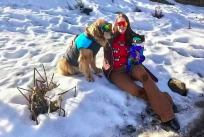 Brasileira leva cachorro para conhecer neve na Argentina e morre na nevasca