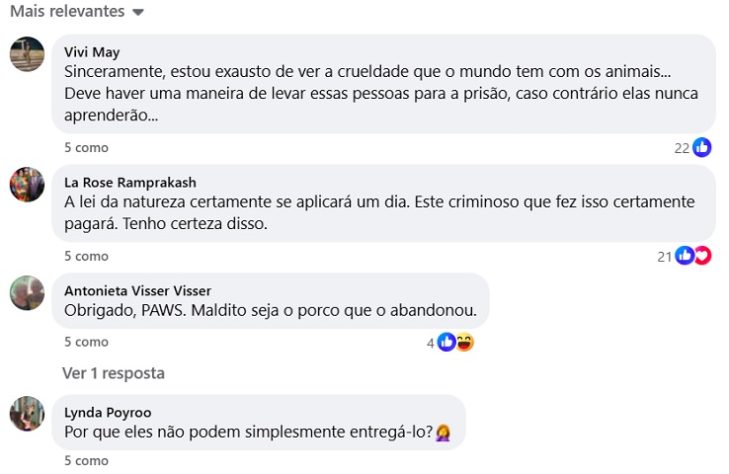 Funcionário de abrigo encontra animal abandonado e resgate emociona web - Reprodução/Facebook