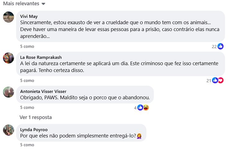 A história, divulgada no Facebook da ONG, gerou grande indignação e comoção, atraindo centenas de comentários.-Reprodução/Facebook
