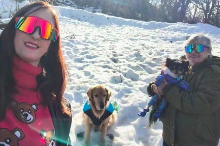 A mãe dela sofreu ferimentos leves, mas foi medicada e recebeu alta. Os cães foram resgatados ilesos.