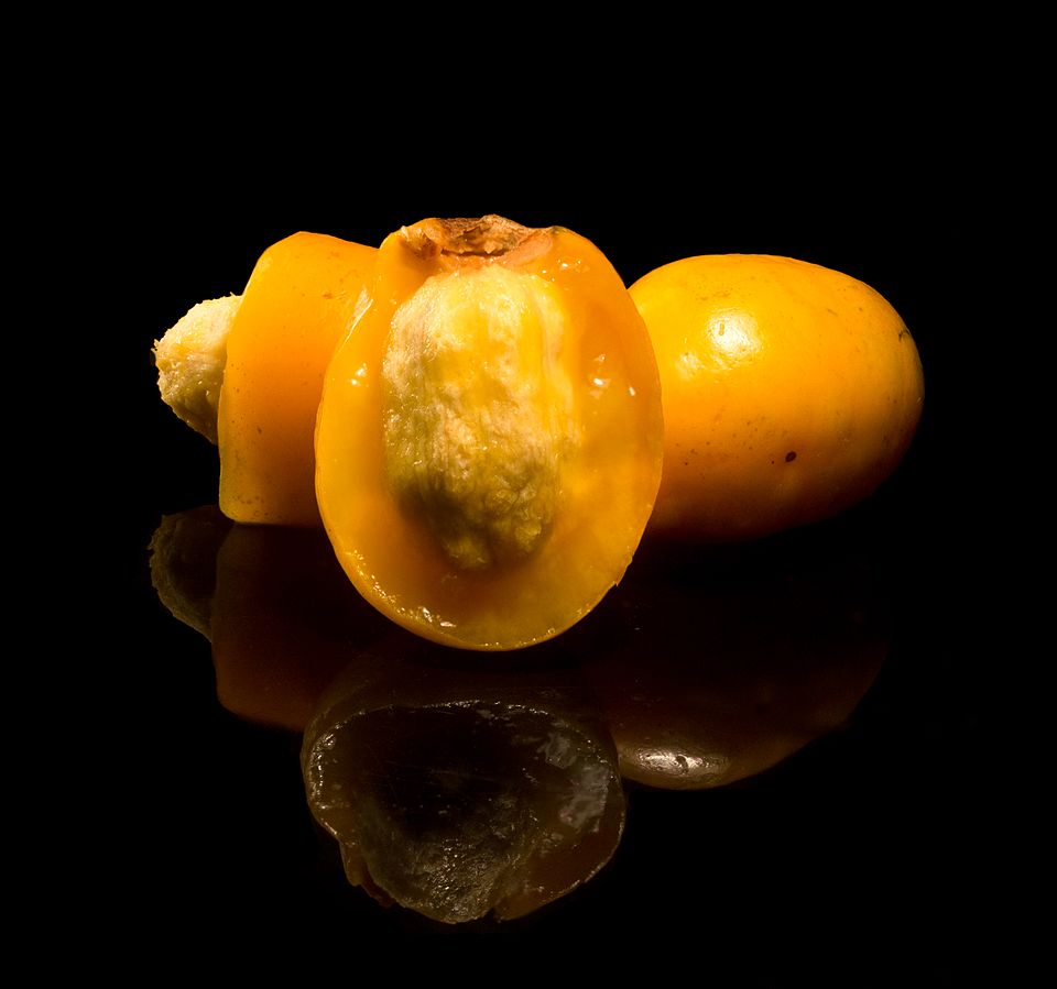 Antes de mais nada, é preciso ressaltar que a grafia correta desta fruta é seriguela. No entanto, a palavra ciriguela também é usada e amplamente compreendida, especialmente no Brasil. 