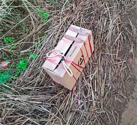 Funcionário de abrigo encontra animal abandonado e resgate emociona web
