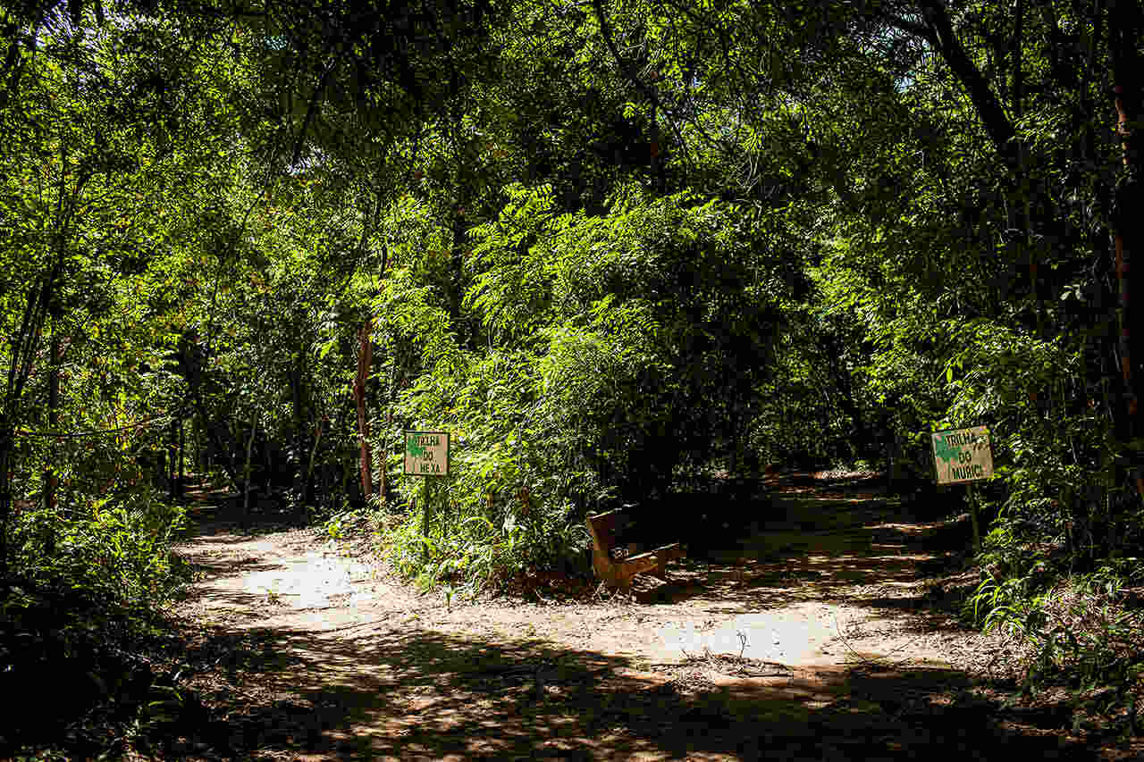 Já o apelido "Cidade Verde" foi dado pelo escritor Coelho Neto, encantado com a arborização da cidade. As ruas e avenidas, portanto, eram entremeadas de árvores, além de grandes áreas verdes. 