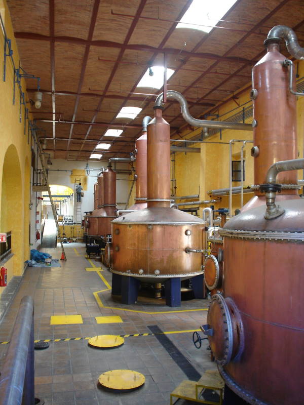 Após a destilação, a tequila pode ser engarrafada ou envelhecida, dependendo do tipo desejado pelo produtor.