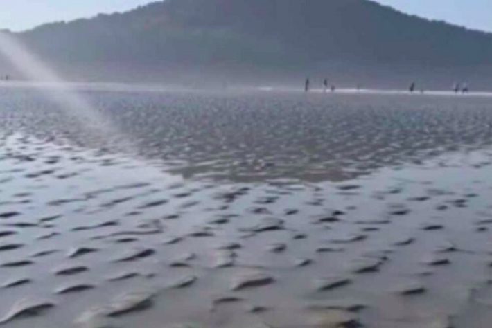 Mar recua em Praia Grande e moradores acham que é tsunami - Reprodução