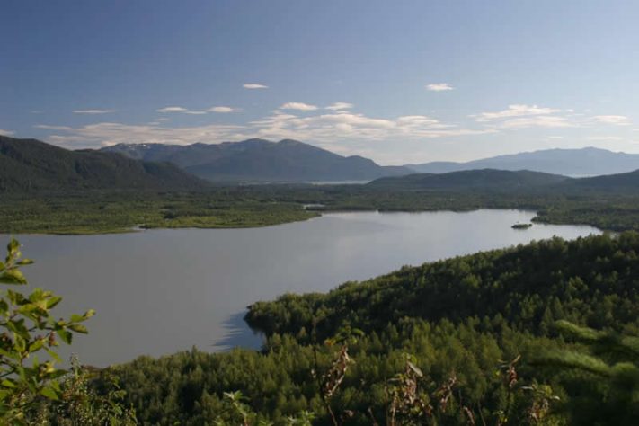 Rio Mendenhall, Alasca (Alaska) - Wikimedia Commons/Henryhartley