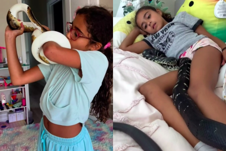 Atualmente, Ariana, de 10 anos, convive com 20 pítons em seu quarto. Seu irmão, Maximus, é responsável por outras duas.